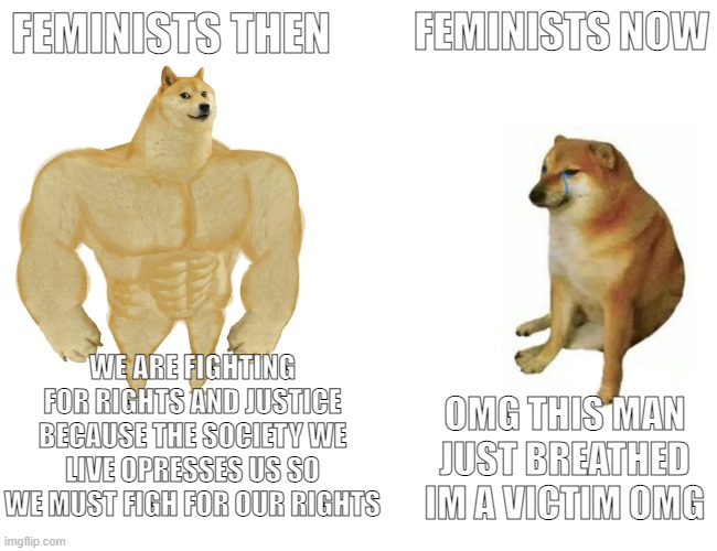 seriously what happened with this movement? | FEMINISTS THEN; FEMINISTS NOW; WE ARE FIGHTING FOR RIGHTS AND JUSTICE BECAUSE THE SOCIETY WE LIVE OPRESSES US SO WE MUST FIGH FOR OUR RIGHTS; OMG THIS MAN JUST BREATHED IM A VICTIM OMG | image tagged in memes,buff doge vs cheems,funny,then vs now | made w/ Imgflip meme maker