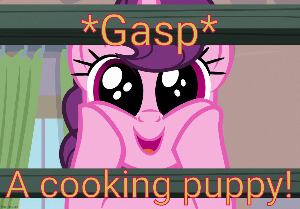 Surprised Sugar Belle (MLP) | *Gasp* A cooking puppy! | image tagged in surprised sugar belle mlp | made w/ Imgflip meme maker