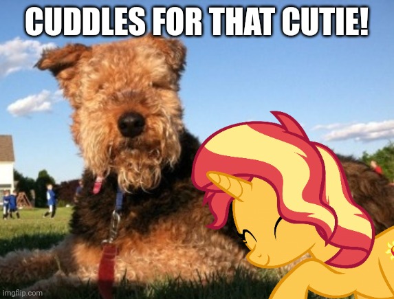 CUDDLES FOR THAT CUTIE! | image tagged in nuzzling sunset shimmer mlp,cuddling,real life,dogs,animals,cute | made w/ Imgflip meme maker