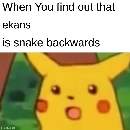Surprised Pikachu | When You find out that; ekans; is snake backward | image tagged in memes,surprised pikachu | made w/ Imgflip meme maker