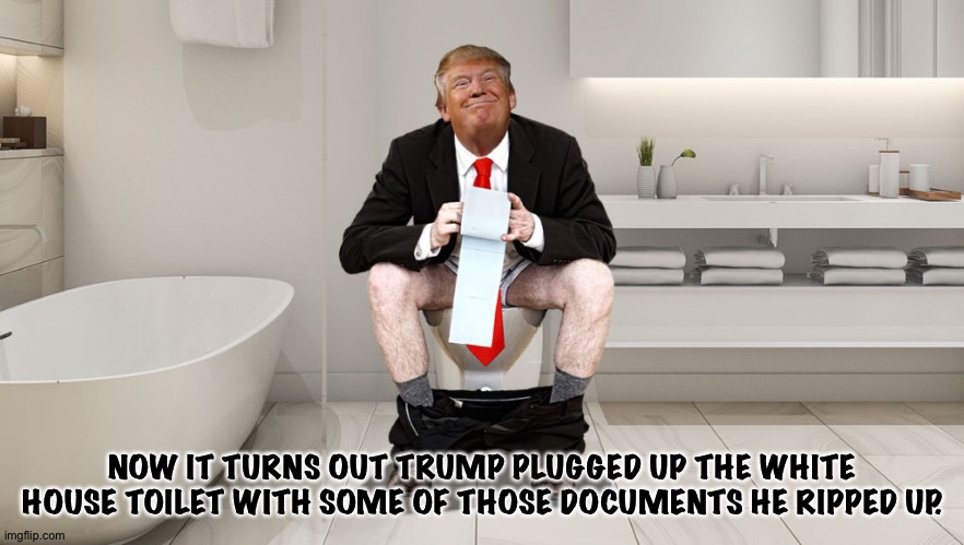 Ya gotta love the symbolism though | NOW IT TURNS OUT TRUMP PLUGGED UP THE WHITE HOUSE TOILET WITH SOME OF THOSE DOCUMENTS HE RIPPED UP. | image tagged in trump toilet | made w/ Imgflip meme maker