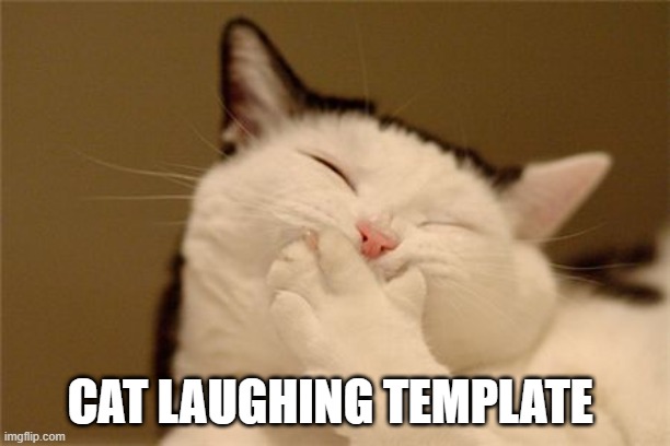 cat laughing | CAT LAUGHING TEMPLATE | image tagged in cat laughing,memes,funny,not funny,actually funny,msmg | made w/ Imgflip meme maker