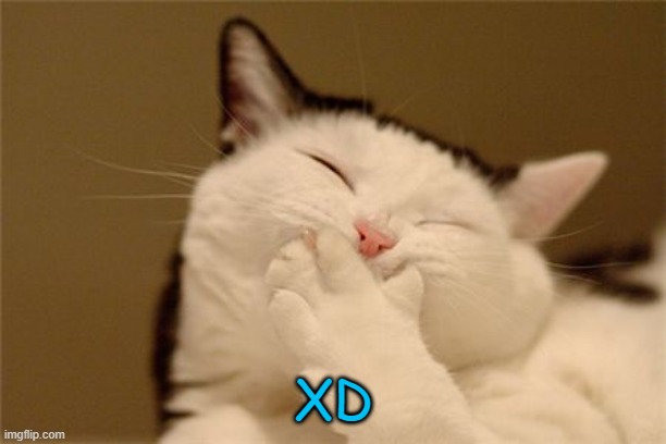 cat laughing | XD | image tagged in cat laughing | made w/ Imgflip meme maker