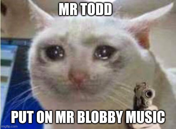 i must threaten the teacher | MR TODD; PUT ON MR BLOBBY MUSIC | image tagged in sad cat with gun | made w/ Imgflip meme maker