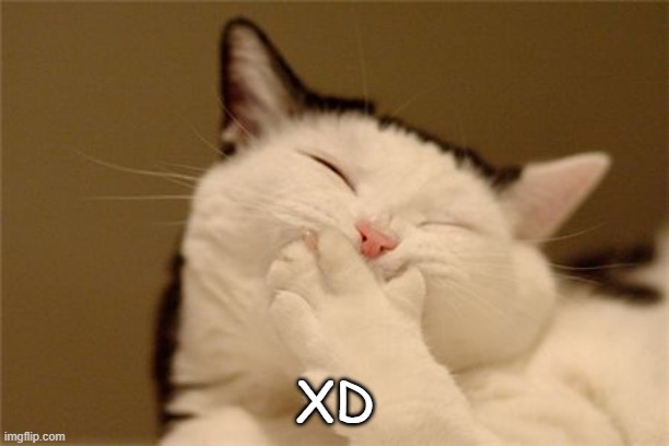 cat laughing | XD | image tagged in cat laughing | made w/ Imgflip meme maker