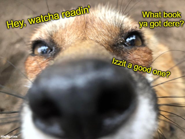 Every. Single. Time | What book ya got dere? Hey, watcha readin'; Izzit a good one? | image tagged in fox boop,memes,animals | made w/ Imgflip meme maker