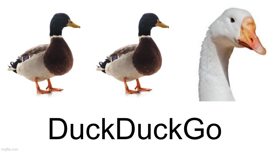 DuckDuckGo | DuckDuckGo | image tagged in funny memes,private browsing,ducks | made w/ Imgflip meme maker