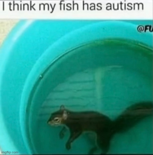 Autistic fish. | made w/ Imgflip meme maker