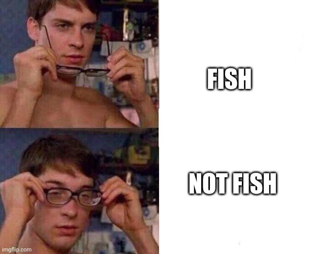 Spiderman Glasses | FISH NOT FISH | image tagged in spiderman glasses | made w/ Imgflip meme maker