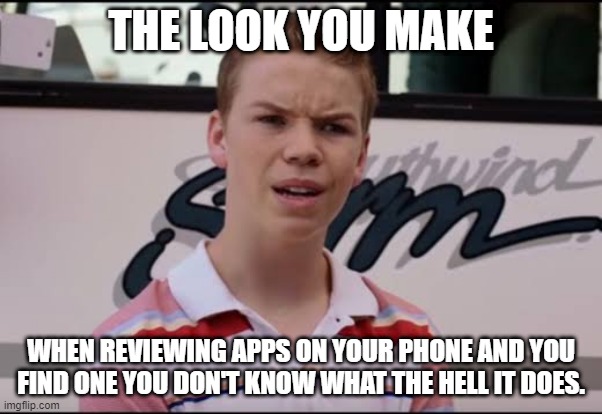 The look you make | THE LOOK YOU MAKE; WHEN REVIEWING APPS ON YOUR PHONE AND YOU FIND ONE YOU DON'T KNOW WHAT THE HELL IT DOES. | image tagged in the look you make,why did i install this,wtf | made w/ Imgflip meme maker