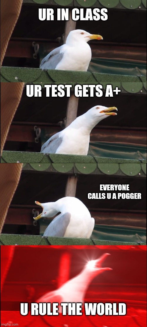 Inhaling Seagull | UR IN CLASS; UR TEST GETS A+; EVERYONE CALLS U A POGGER; U RULE THE WORLD | image tagged in memes,inhaling seagull | made w/ Imgflip meme maker