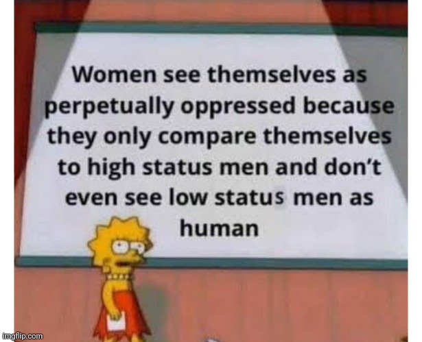 image tagged in funny memes | made w/ Imgflip meme maker