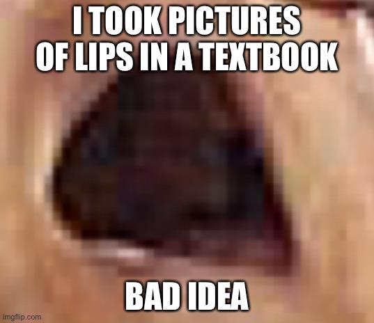 Lips | I TOOK PICTURES OF LIPS IN A TEXTBOOK; BAD IDEA | image tagged in lips,haha,funny | made w/ Imgflip meme maker