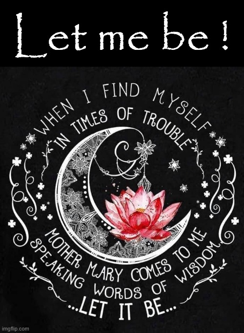 " Let me be ! " | Let me be ! | image tagged in solitude | made w/ Imgflip meme maker