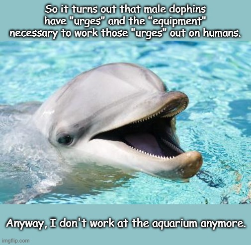 Dumb Joke Dolphin | So it turns out that male dophins have "urges" and the "equipment" necessary to work those "urges" out on humans. Anyway, I don't work at the aquarium anymore. | image tagged in dumb joke dolphin | made w/ Imgflip meme maker