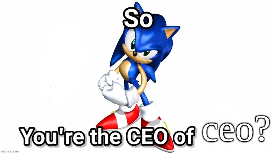 so you're the CEO of | ceo? | image tagged in so you're the ceo of | made w/ Imgflip meme maker