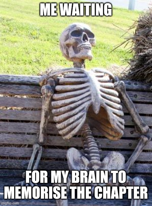 Waiting Skeleton Meme | ME WAITING; FOR MY BRAIN TO MEMORISE THE CHAPTER | image tagged in memes,waiting skeleton | made w/ Imgflip meme maker