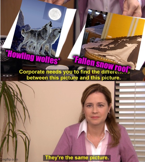 -Animals at top. | *Howling wolfes*; *Fallen snow roof* | image tagged in memes,they're the same picture,roof,snow,wolf of wallstreet,the moon | made w/ Imgflip meme maker