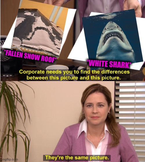 -As my sight. | *FALLEN SNOW ROOF*; *WHITE SHARK* | image tagged in memes,they're the same picture,great white shark,snowflake,roof,proof | made w/ Imgflip meme maker