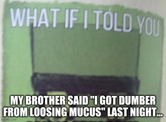Out of all the things he could've said, he chose that... | MY BROTHER SAID "I GOT DUMBER FROM LOOSING MUCUS" LAST NIGHT... | image tagged in diary of an 8-bit warrior brio what if i told you | made w/ Imgflip meme maker