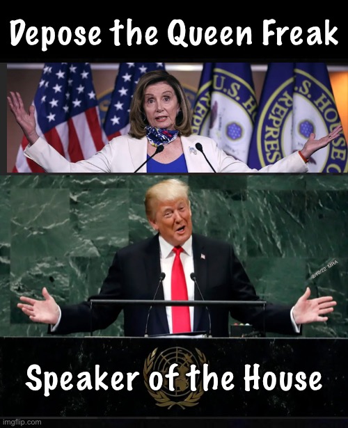Two birds, one stone - SHE’s Gotta Go, and HE’s Gotta Be In Charge Somewhere in US Government |  Depose the Queen Freak; 2/10/22  MRA; Speaker of the House | image tagged in memes,speaker of the house,he will be in charge,and the anarchist rioting burning dems wont destroy america,why not | made w/ Imgflip meme maker