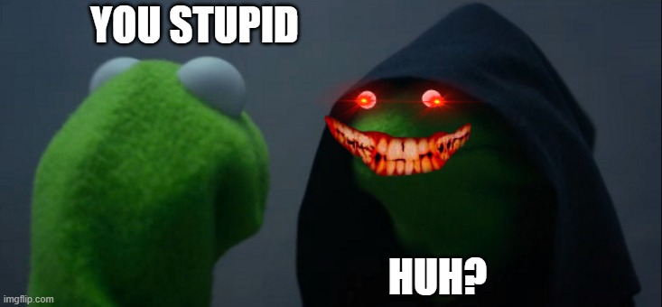 stupid kermit | YOU STUPID; HUH? | image tagged in memes,evil kermit | made w/ Imgflip meme maker