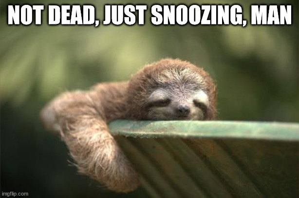 Snooze Button Sloth | NOT DEAD, JUST SNOOZING, MAN | image tagged in snooze button sloth | made w/ Imgflip meme maker