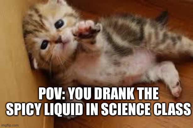 Sad Kitten Goodbye | POV: YOU DRANK THE SPICY LIQUID IN SCIENCE CLASS | image tagged in sad kitten goodbye | made w/ Imgflip meme maker