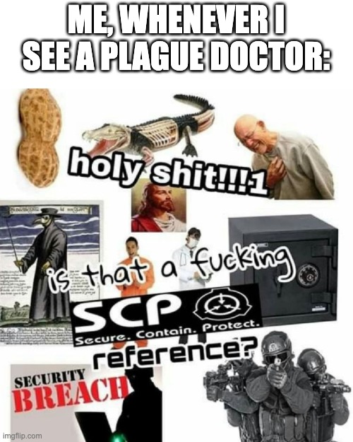 Breghfereshardsjklfjlsa...Pregnent. | ME, WHENEVER I SEE A PLAGUE DOCTOR: | image tagged in scp reference | made w/ Imgflip meme maker