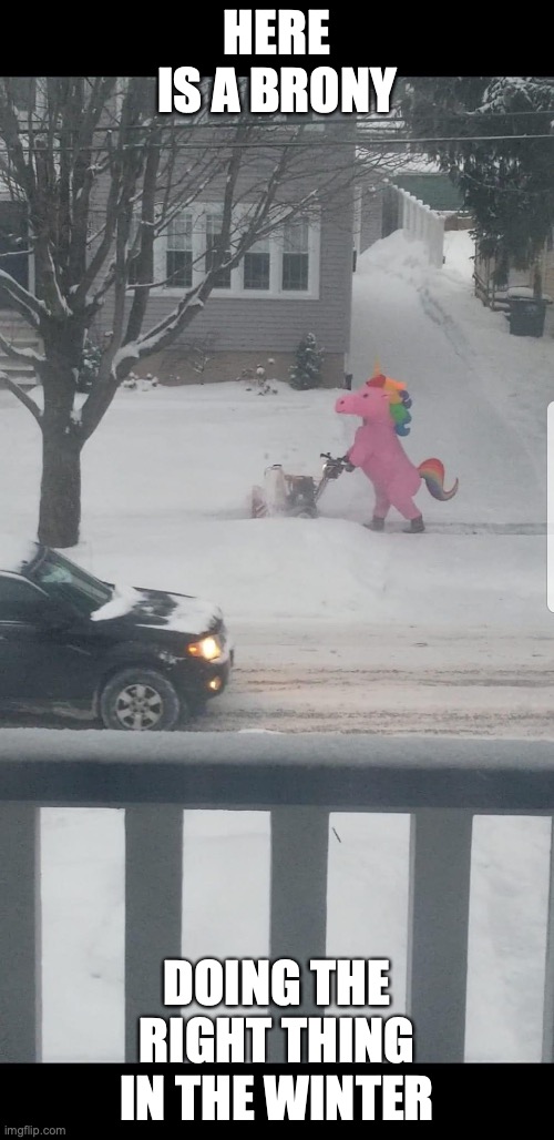 Unicorn in the Winter |  HERE IS A BRONY; DOING THE RIGHT THING IN THE WINTER | image tagged in unicorn,brony,memes,winter | made w/ Imgflip meme maker