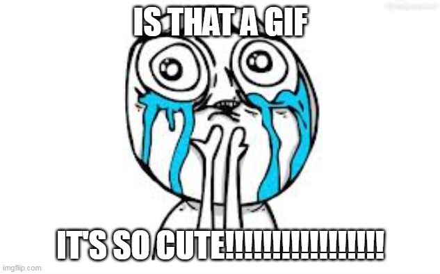 Crying Because Of Cute Meme | IS THAT A GIF IT'S SO CUTE!!!!!!!!!!!!!!!!! | image tagged in memes,crying because of cute | made w/ Imgflip meme maker
