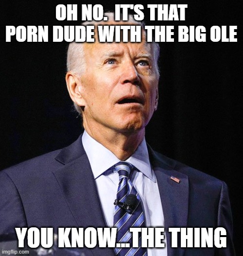 Joe Biden | OH NO.  IT'S THAT PORN DUDE WITH THE BIG OLE YOU KNOW...THE THING | image tagged in joe biden | made w/ Imgflip meme maker