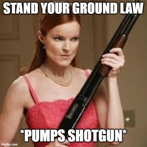 wife with a shotgun | STAND YOUR GROUND LAW *PUMPS SHOTGUN* | image tagged in wife with a shotgun | made w/ Imgflip meme maker
