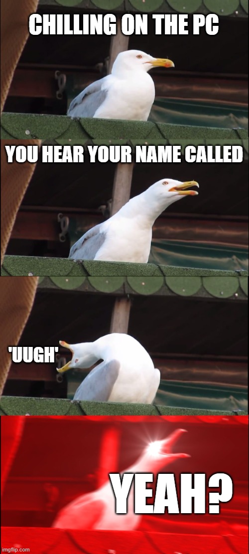 Hate when this happens | CHILLING ON THE PC; YOU HEAR YOUR NAME CALLED; 'UUGH'; YEAH? | image tagged in memes,inhaling seagull,funny | made w/ Imgflip meme maker