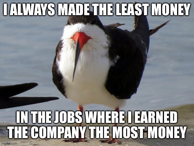 Even Less Popular Opinion Bird |  I ALWAYS MADE THE LEAST MONEY; IN THE JOBS WHERE I EARNED THE COMPANY THE MOST MONEY | image tagged in even less popular opinion bird,true story bro | made w/ Imgflip meme maker