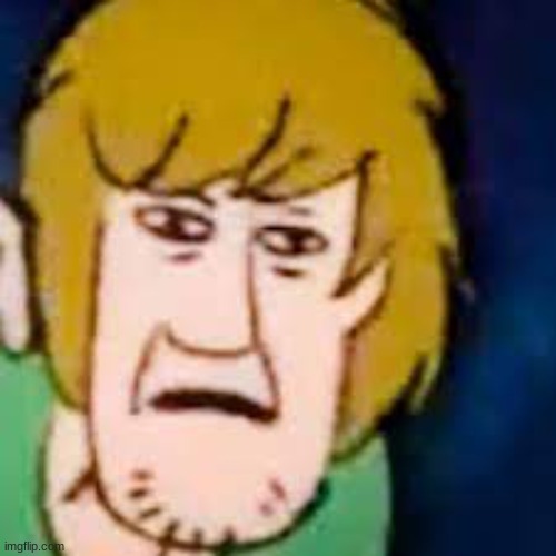 shaggy wtf face | image tagged in shaggy wtf face | made w/ Imgflip meme maker