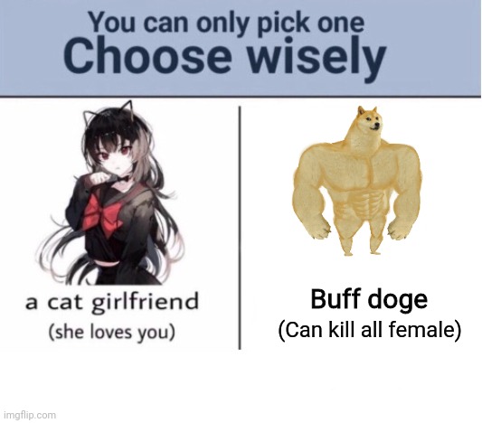 My humor is broken 4: choose wisely Edition |  Buff doge; (Can kill all female) | image tagged in choose wisely | made w/ Imgflip meme maker