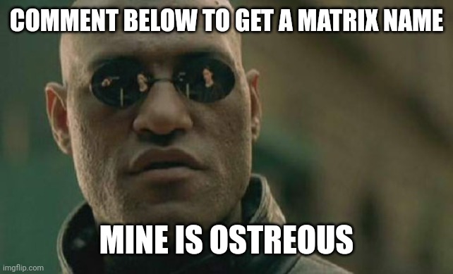 No im not givin u Neo | COMMENT BELOW TO GET A MATRIX NAME; MINE IS OSTREOUS | image tagged in memes,matrix morpheus | made w/ Imgflip meme maker