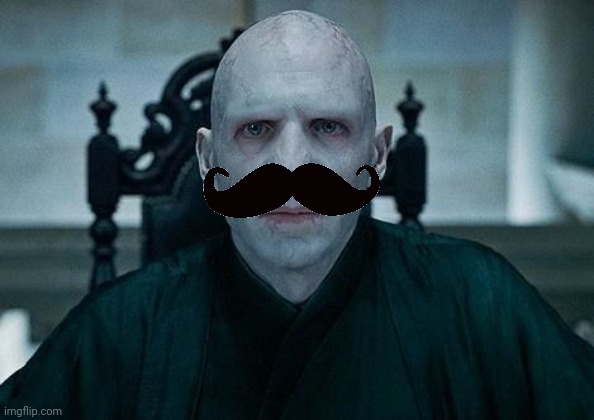 Lord Voldemort | image tagged in lord voldemort | made w/ Imgflip meme maker