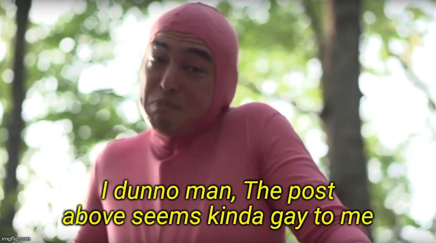 seems kinda gay template | I dunno man, The post above seems kinda gay to me | image tagged in seems kinda gay template | made w/ Imgflip meme maker