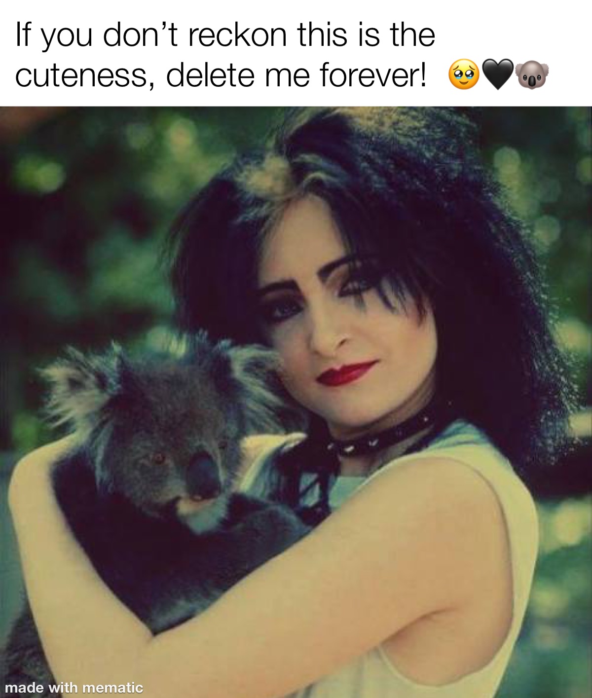 High Quality Siouxsie Sioux & Koala ?? Blank Meme Template