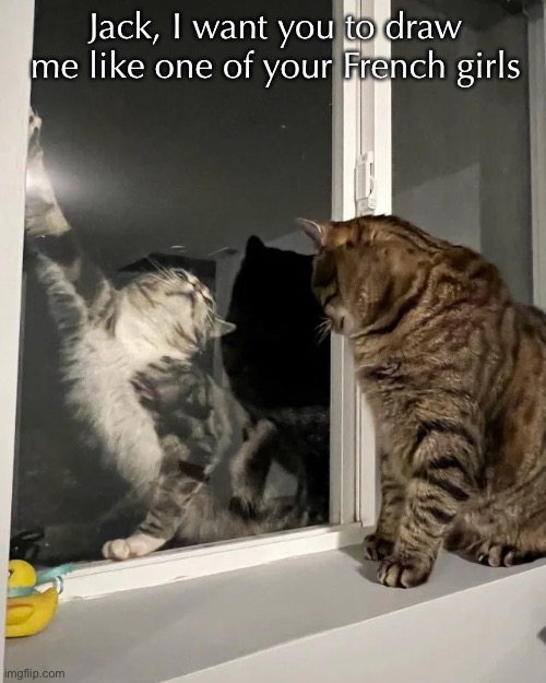 Kittease | Jack, I want you to draw me like one of your French girls | image tagged in funny memes,funny cat memes,funny,cats | made w/ Imgflip meme maker