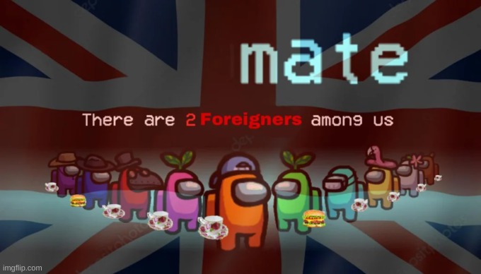 There are 2 foreigners among us | image tagged in there are 2 foreigners among us | made w/ Imgflip meme maker