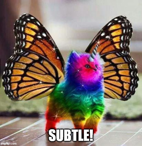 Rainbow unicorn butterfly kitten | SUBTLE! | image tagged in rainbow unicorn butterfly kitten | made w/ Imgflip meme maker