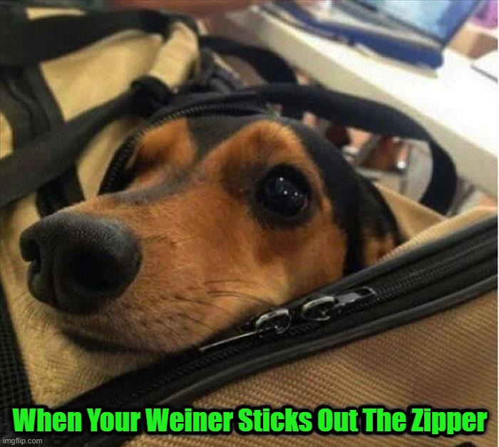 When Your Weiner Sticks Out The Zipper | made w/ Imgflip meme maker