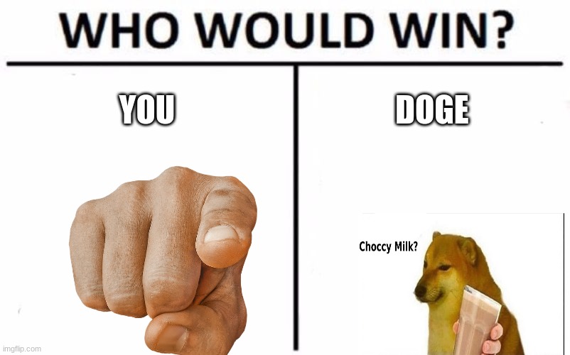 Who Would Win? Meme | YOU; DOGE | image tagged in memes,who would win | made w/ Imgflip meme maker