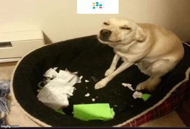 the dog ate my homework | image tagged in dog,homework,school,meme | made w/ Imgflip meme maker