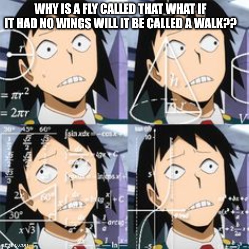 im concered | WHY IS A FLY CALLED THAT WHAT IF IT HAD NO WINGS WILL IT BE CALLED A WALK?? | image tagged in confused sero,confused,memes,oh wow are you actually reading these tags | made w/ Imgflip meme maker