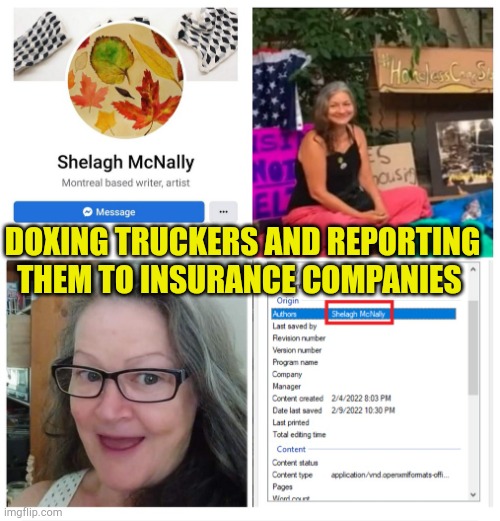 Doxing Karen Against Truckers | DOXING TRUCKERS AND REPORTING THEM TO INSURANCE COMPANIES | image tagged in doxing freedom truckers,mega karen,gay rights,liberal college girl,troll,punisher | made w/ Imgflip meme maker