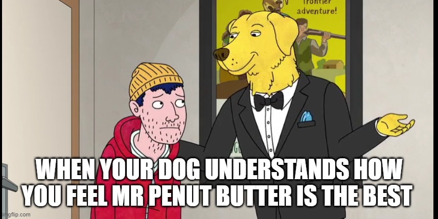 mr penutbutter | WHEN YOUR DOG UNDERSTANDS HOW YOU FEEL MR PENUT BUTTER IS THE BEST | image tagged in memes | made w/ Imgflip meme maker